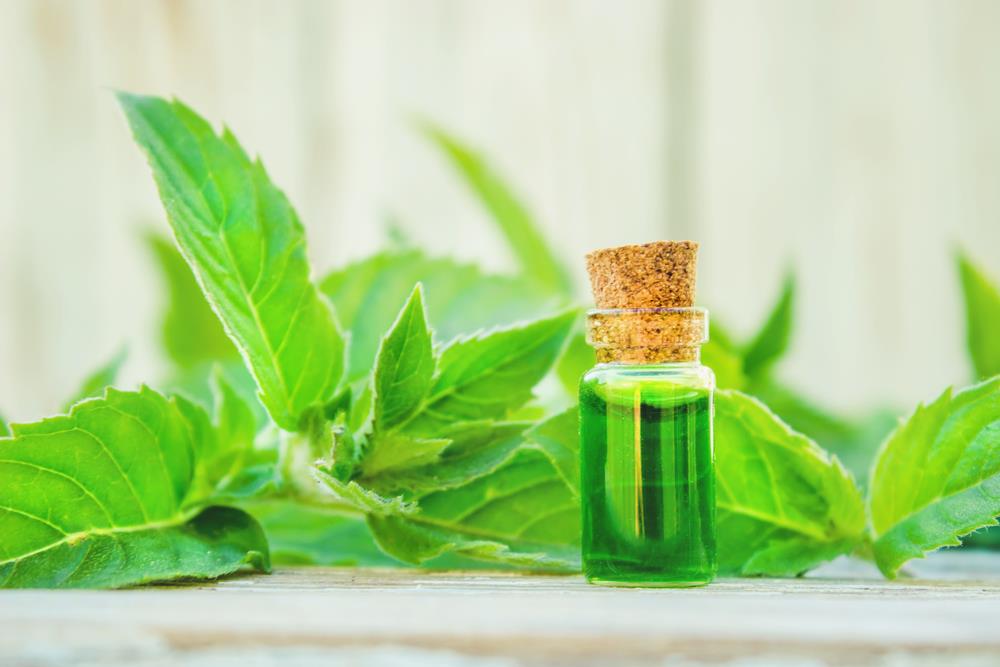 Peppermint Essential oil