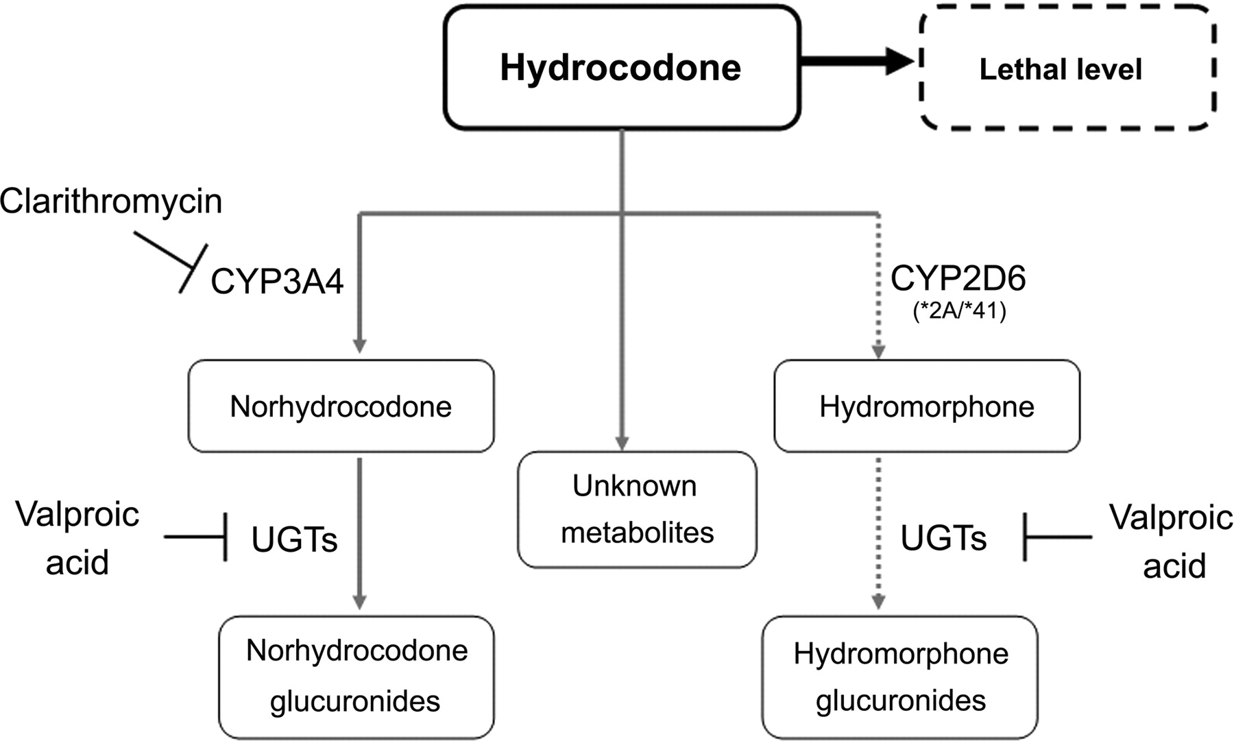 Oxycodone vs. Hydrocodone