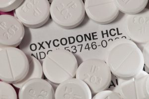 oxycodone vs hydrocodone