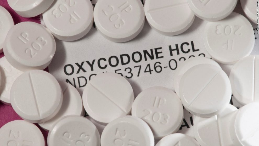 oxycodone vs hydrocodone