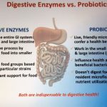 Digestive enzymes