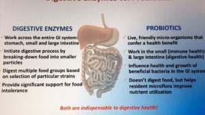 Digestive enzymes
