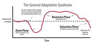 General adaptation syndrome - Charlies Magazines