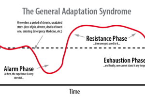 General adaptation syndrome: